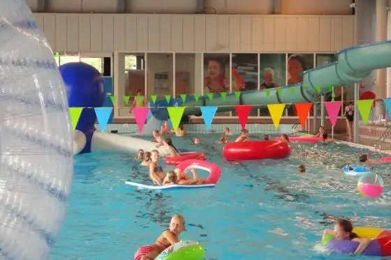 Kinderen spelend in zwembad
